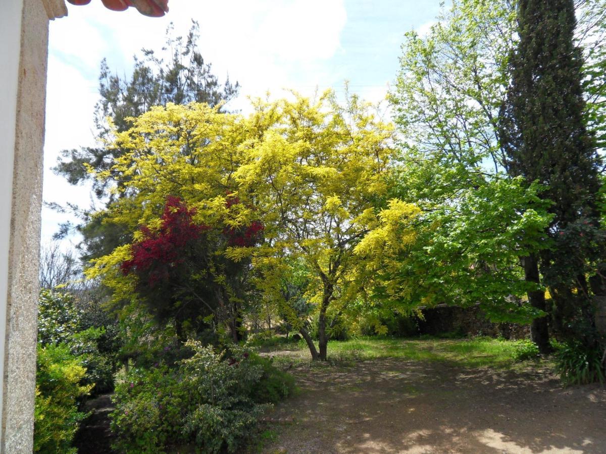 Quinta Do Bento Novo - Casa De Campo - Turismo Rural 维亚纳堡 外观 照片