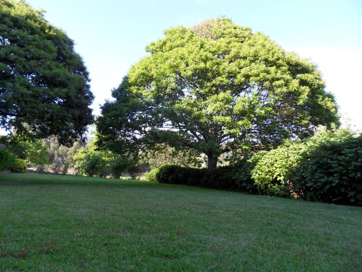Quinta Do Bento Novo - Casa De Campo - Turismo Rural 维亚纳堡 外观 照片