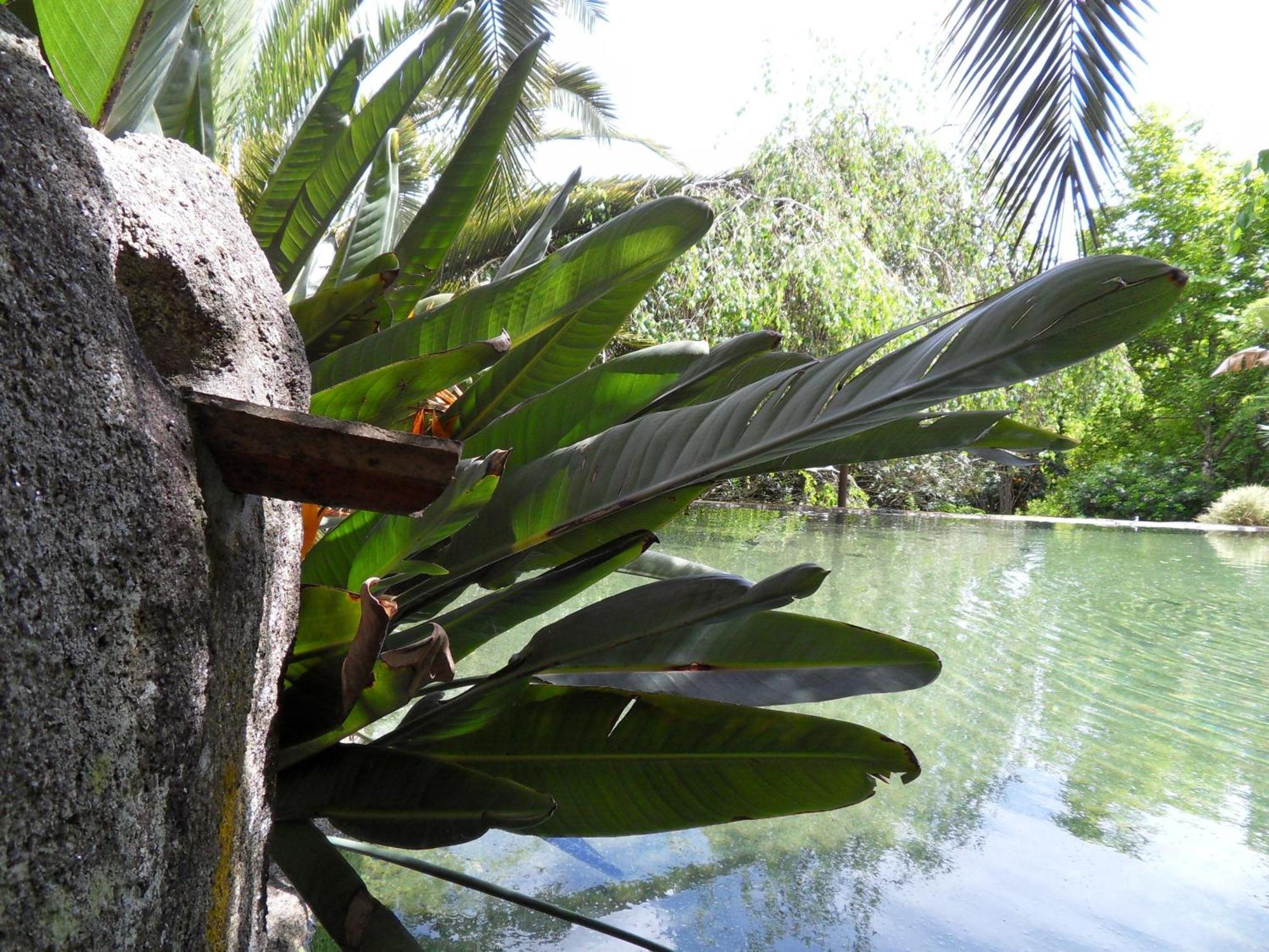 Quinta Do Bento Novo - Casa De Campo - Turismo Rural 维亚纳堡 外观 照片